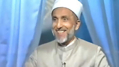 الدكتور محمد سيد أحمد المسير